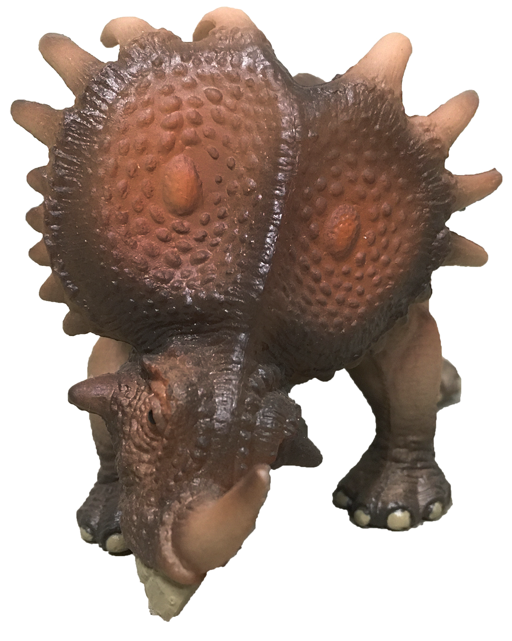Styracosaurus 6" Painted Resin Dinosaur Model Figure