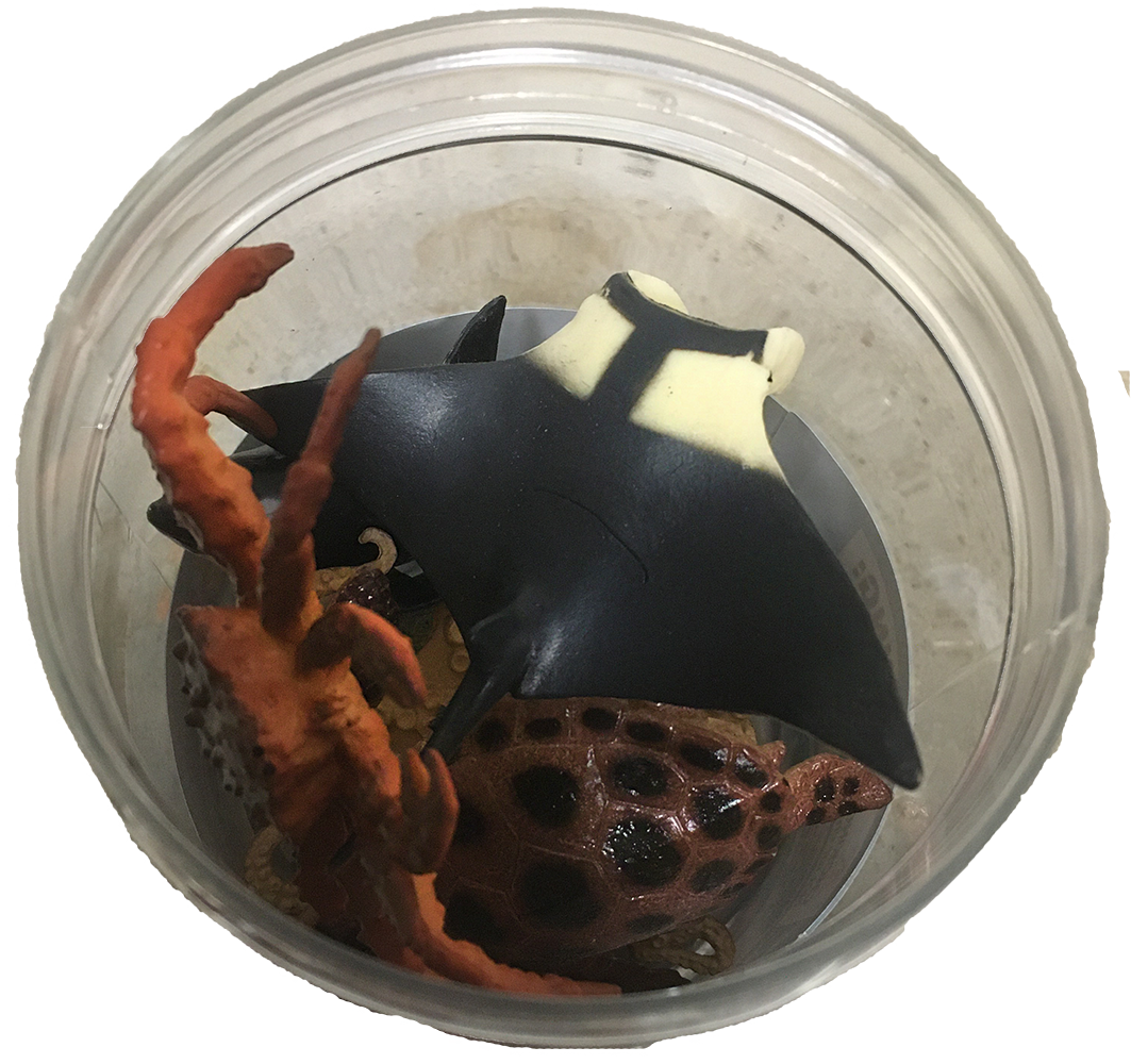 Marine Sea Animal 3" Figurine Assortment in Clear Container 6pcs