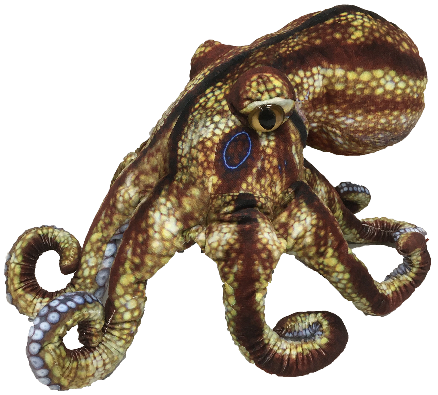 Octopus Aquatic Ocean Plush 10" Stuffed Animal