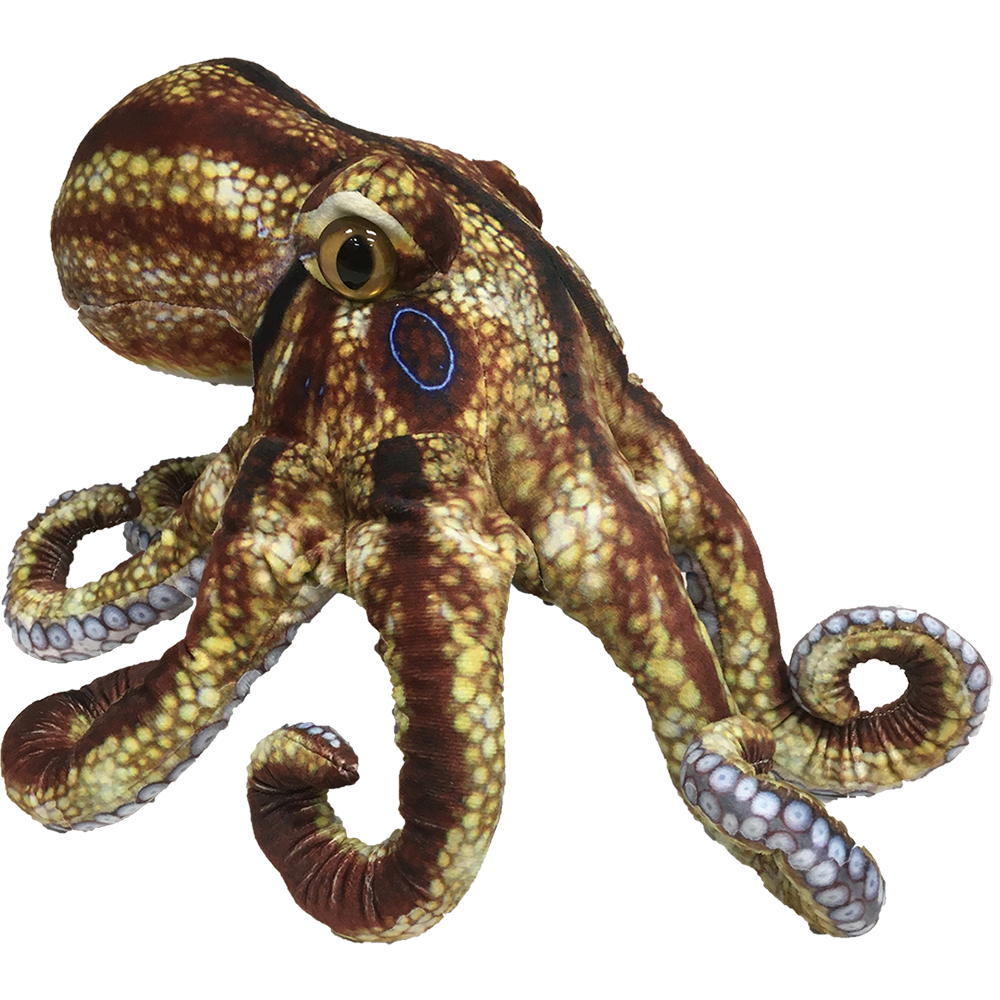 Octopus Aquatic Ocean Plush 10" Stuffed Animal