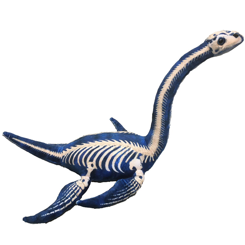 Plesiosaur 12" Plush Dinosaur Stuffed Animal